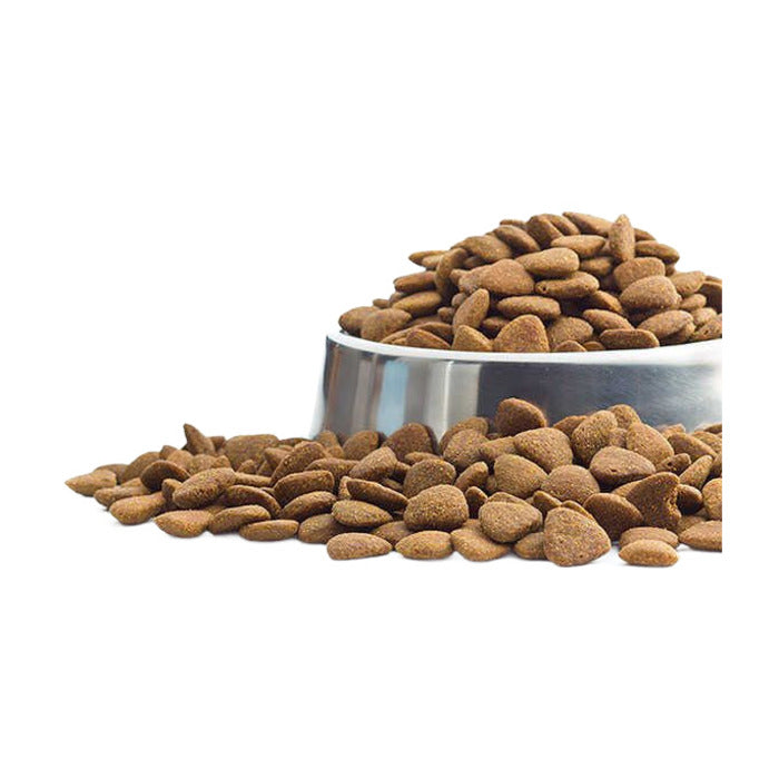 Pro Plan Medium Kuzu Etli Yetişkin Köpek Maması Açık 1 Kg