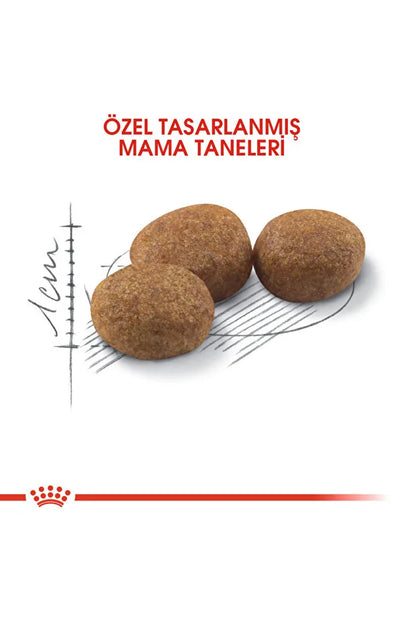 Royal Canin Sterilised 37 Kısırlaştırılmış Yetişkin Kedi Kuru Maması 4 Kg