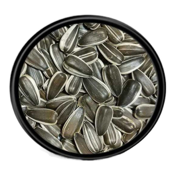 Vivid Alaca Küçük Papağan Çekideği 1 Kg Açık