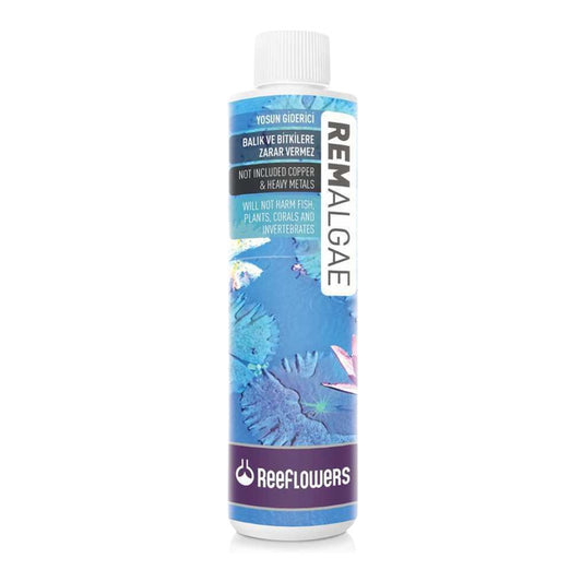 ReeFlowers REM Algae 85ml Yosun Giderici