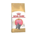 Royal Canin British Shorthair Kitten Yavru Kedi Maması 2 Kg