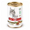 Felicia Yetişkin Tahılsız Biftekli Kedi Konserve 400 Gr