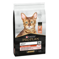 Pro Plan Adult Salmon Somonlu Yetişkin Kedi Maması 10 kg