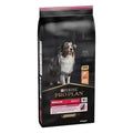 Pro Plan Medium Sensitive Skin Somonlu Yetişkin Köpek Maması 14 Kg