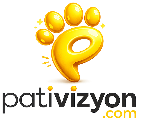 Pativizyon