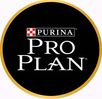 Pro Plan