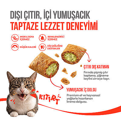 Wanpy Kedi Crunch Ödül Catnipli & Tavuklu 60g - 2