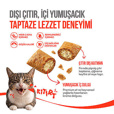 Wanpy Kedi Crunch Ödül Tavuk 60g - 3