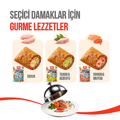 Wanpy Kedi Crunch Ödül Tavuk 60g - 2