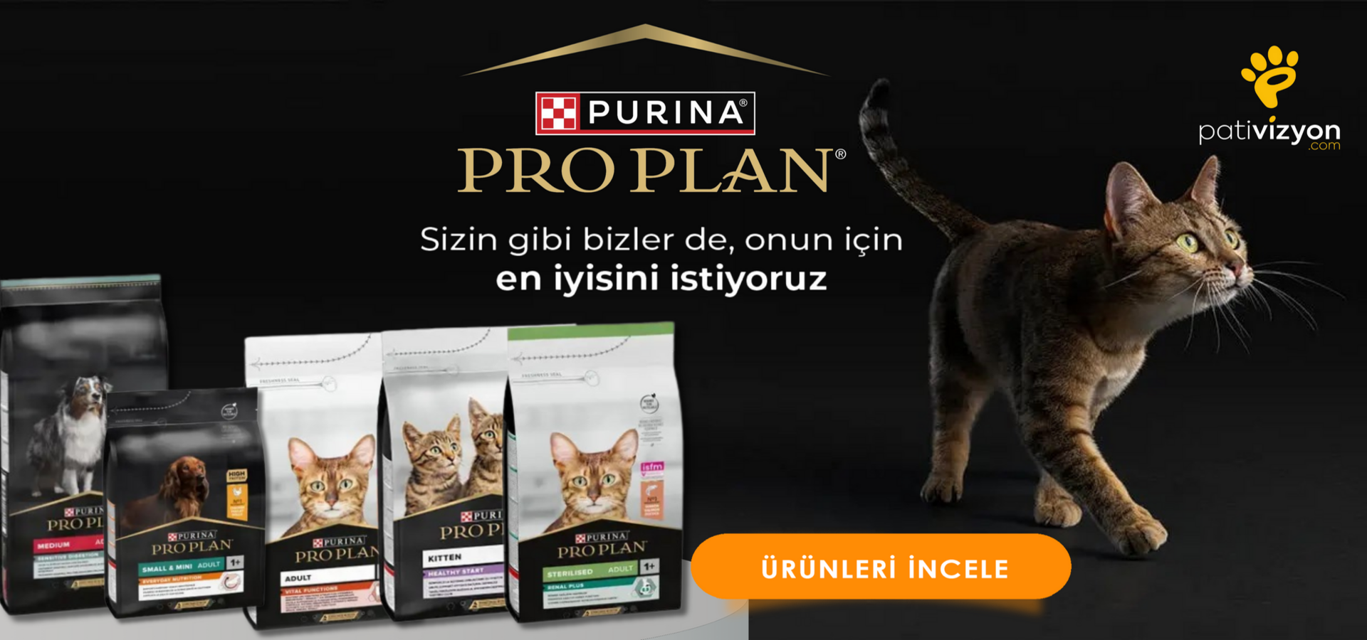 Pativizyon kampanyası