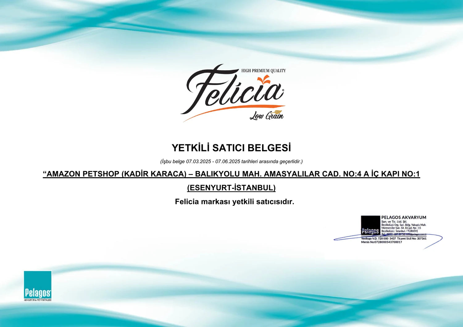 Felicia yetkili satıcı belgesi - web için kimlik bilgileri maskelenmiş önizleme